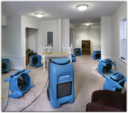 Drying & Dehumidification in Westborough, MA