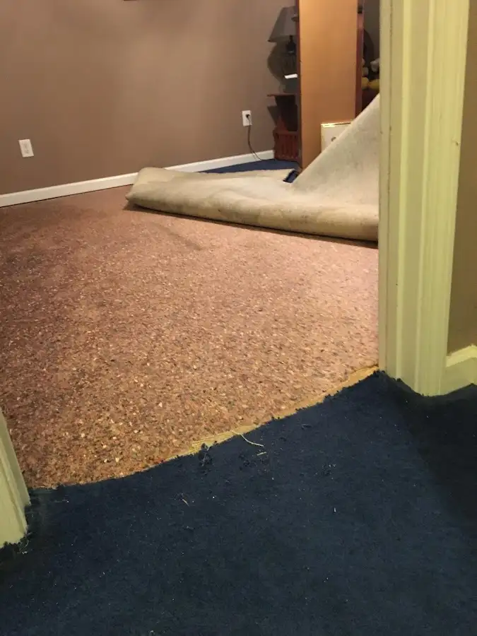 Carpet pad removal revealing water damage during Drying & Dehumidification in Westborough