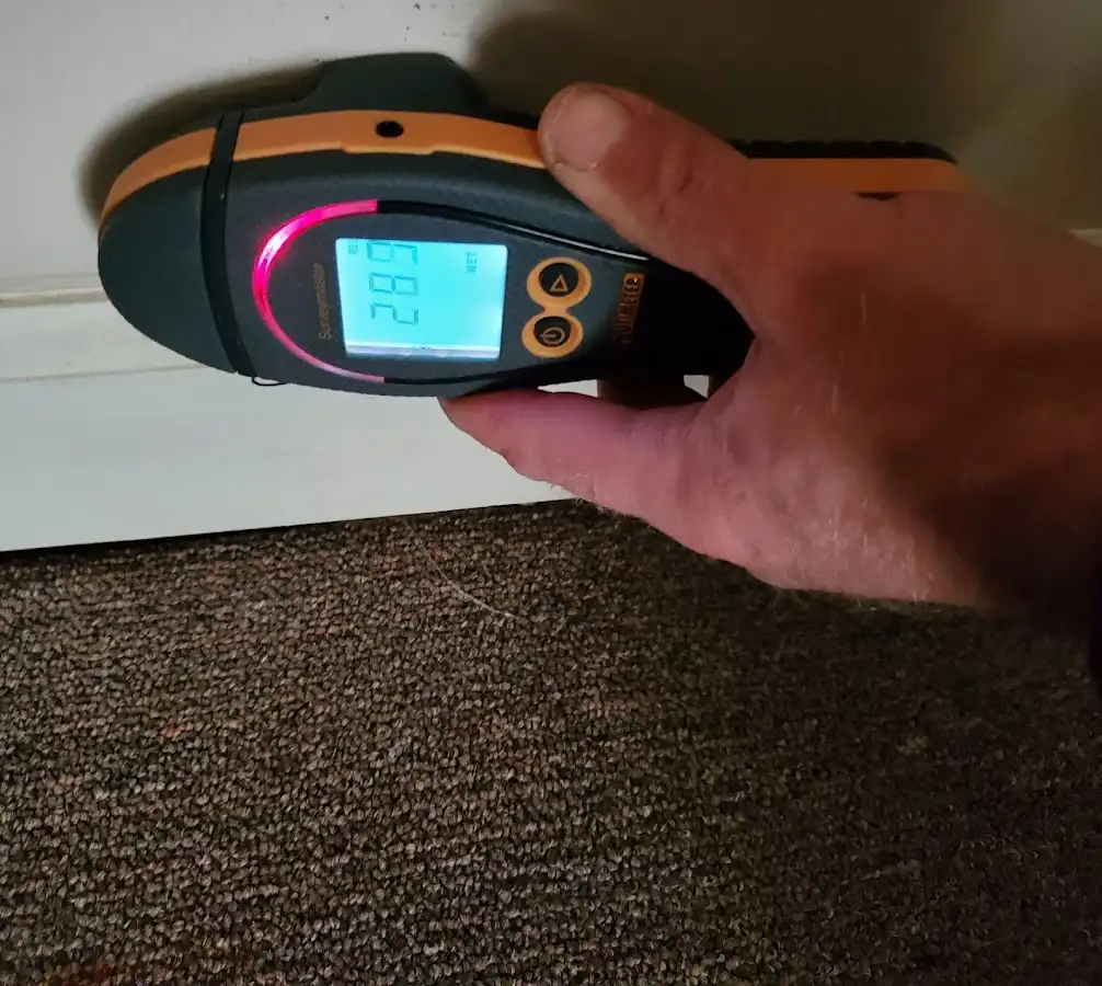 Moisture detection at baseboard during Burst Pipe Cleanup in Westborough